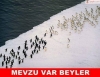 beyler osmanlı devletini yeniden kuruyoruz