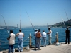 bu sene yaz mevsiminin iptal edilmesi / #1445731
