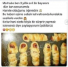 hamileliği kundak şeklinde sosislerle haber vermek / #1613483