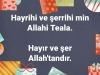 hayrihi ve şerrihi min allahi teala / #2116659