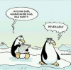 penguenlerin uçmak için hiç çaba sarfetmemesi