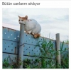 sözlük yazarlarının ruh hallleri