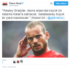 wesley sneijder