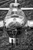 b 17 flying fortress / #1170661