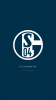 fc schalke 04