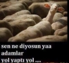 her patlamadan sonra iç savaş tellallığı yapan it / #1291409