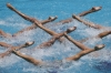 2016 rio de janeiro olimpiyatları / #1141284