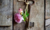 anahtar / #2426069